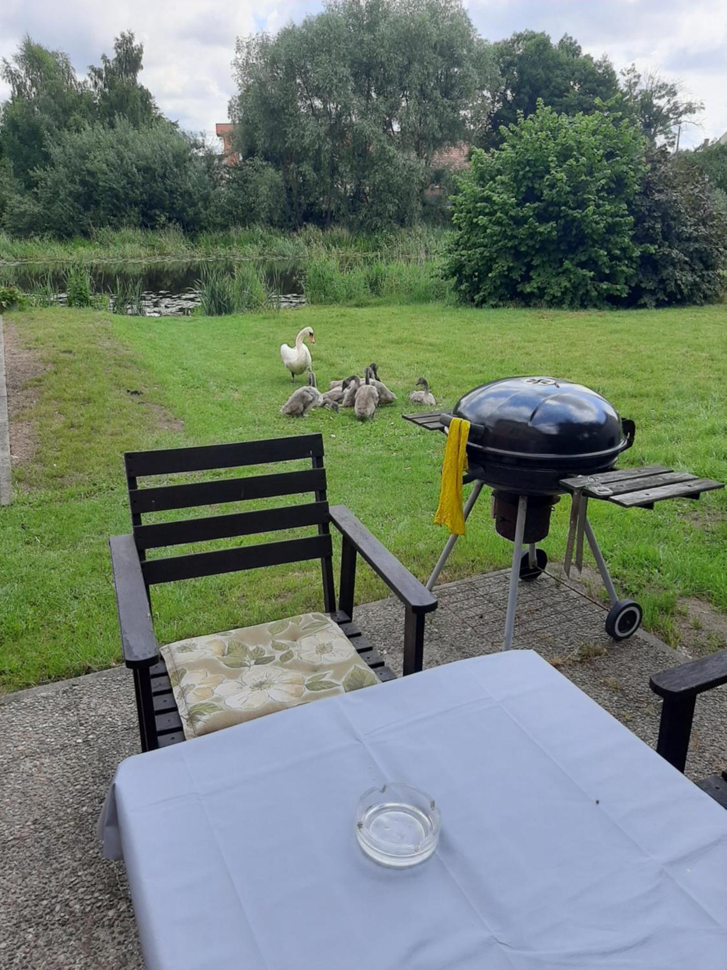 Apartament Nad Woda Marzecino Eksteriør billede